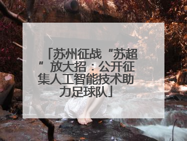 苏州征战“苏超”放大招：公开征集人工智能技术助力足球队